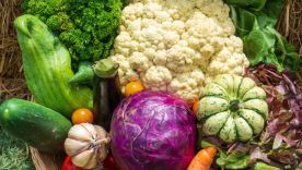 Hortalizas Saludables