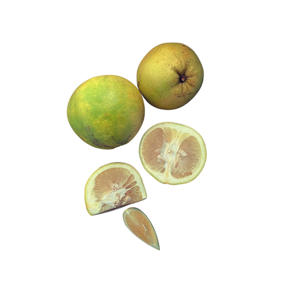 Naranja Valencia de Jugo