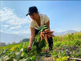 ZANAHORIA AGROTIENDA MANCHAY KG