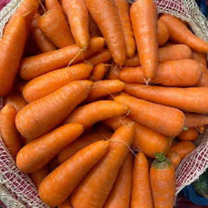 ZANAHORIA AGROTIENDA MANCHAY KG