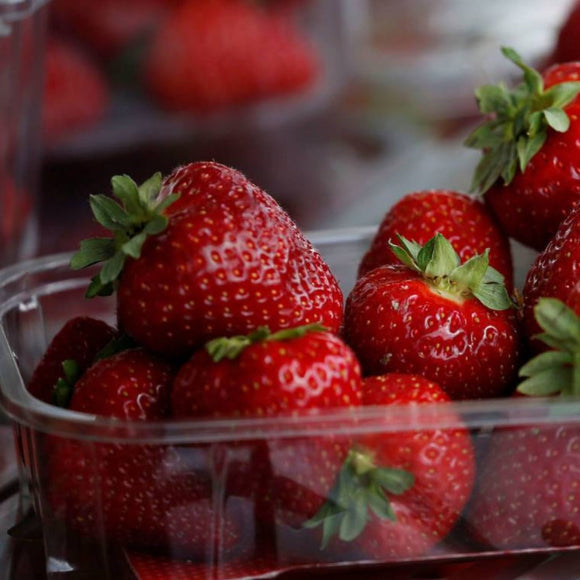 Bandeja Fresas (500g) CULTIVOS DE MANCHAY